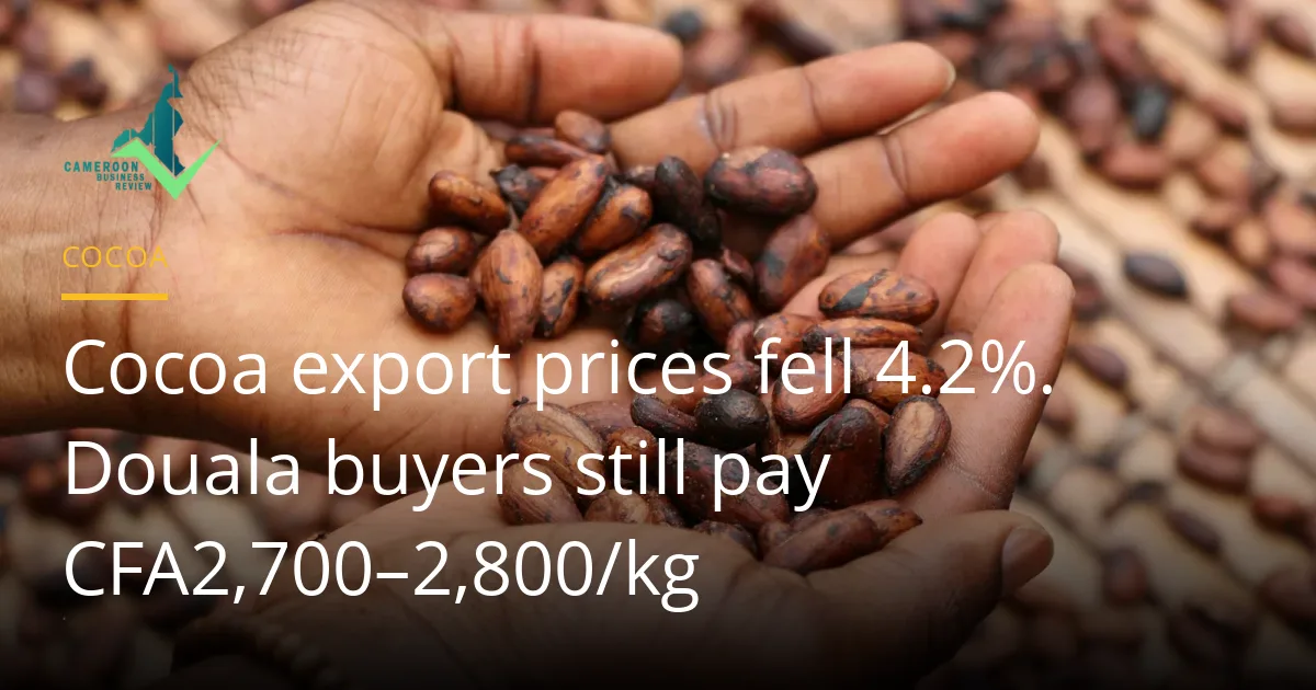 Two hands holding dried cocoa beans above a drying mat, with the Cameroon Business Review logo