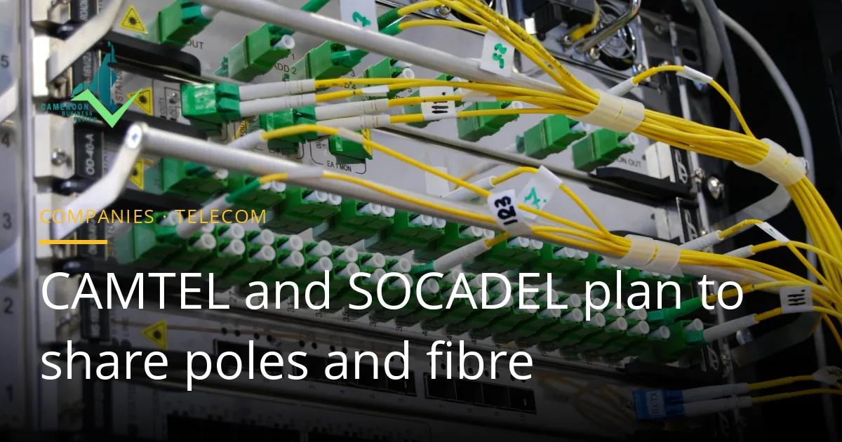 Yellow fibre-optic patch cables plugged into green connectors on a telecom rack