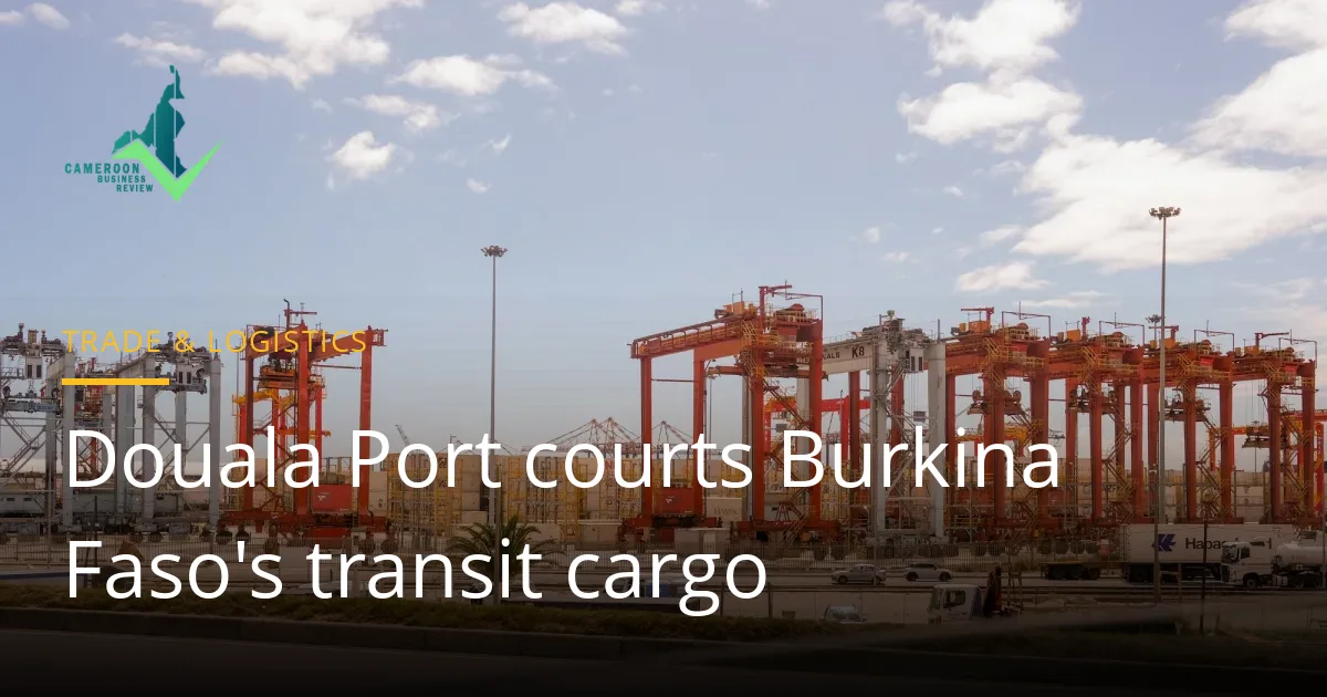 Container gantry cranes and stacked containers at a seaport terminal