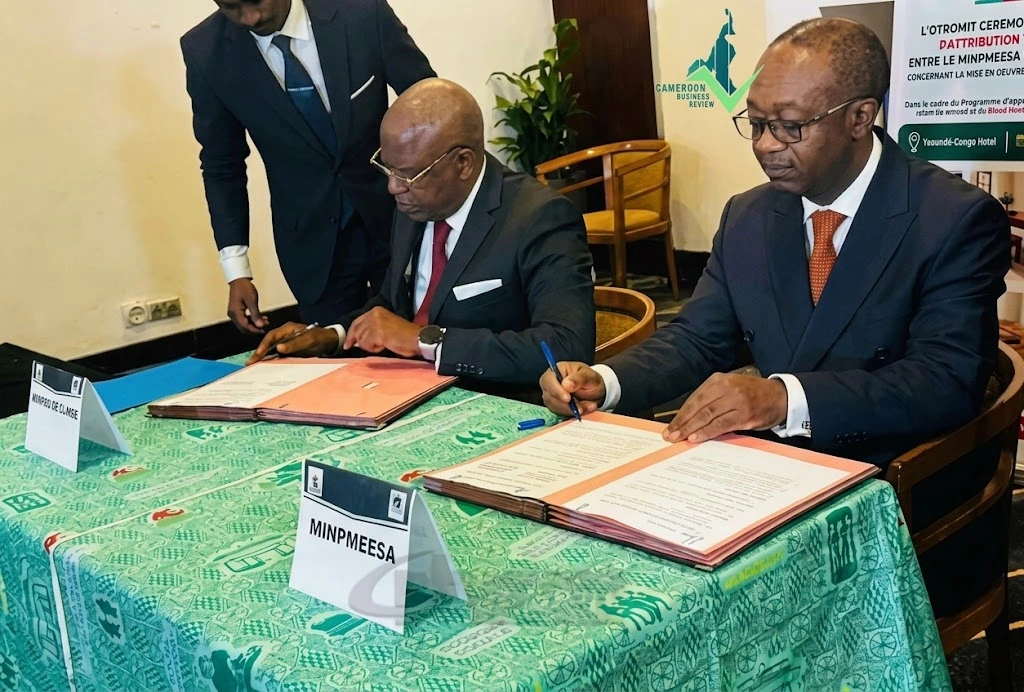 Lomié Wood Park Could Create 12,000 Jobs